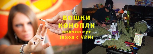 прущие грибы Балахна