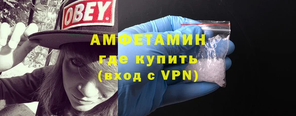 прущие грибы Балахна