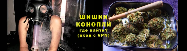 сатива Баксан