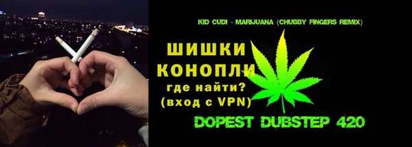прущие грибы Балахна