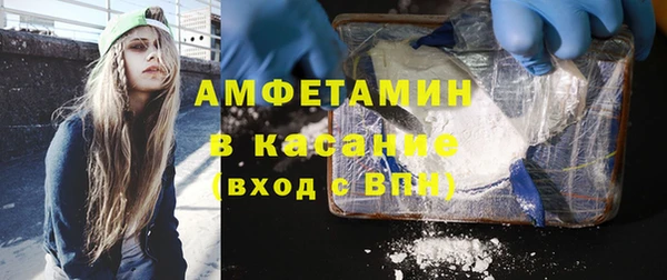 сатива Баксан