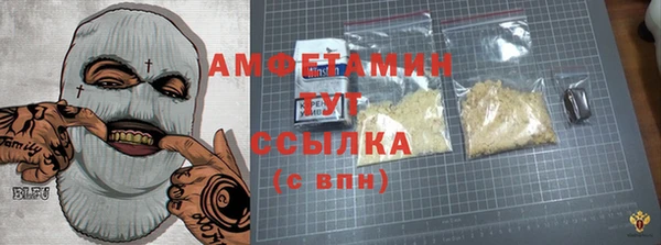 сатива Баксан