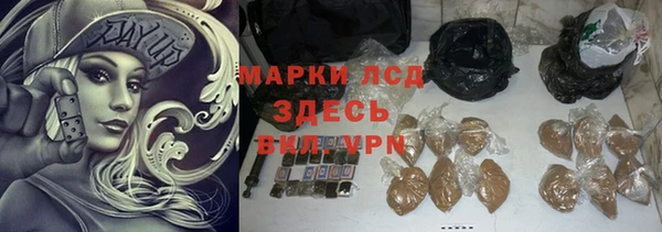 сатива Баксан